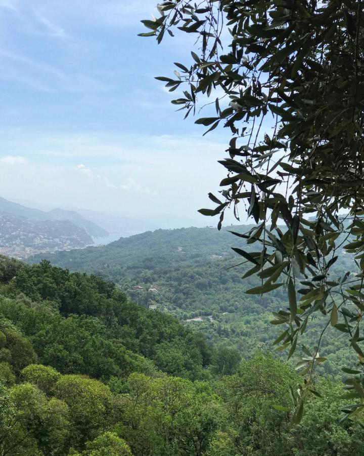 La Riviera Bed & Breakfast Bed and Breakfast Rapallo Buitenkant foto