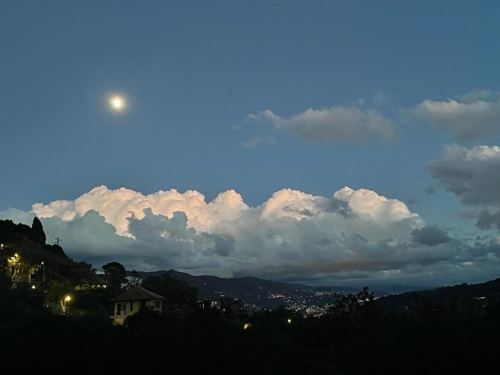 La Riviera Bed & Breakfast Bed and Breakfast Rapallo Buitenkant foto