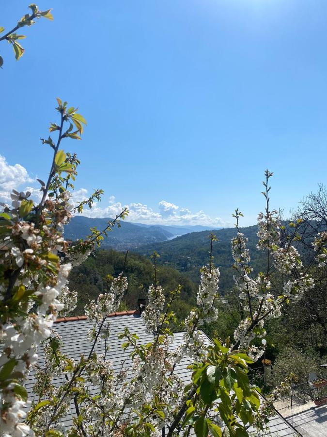 La Riviera Bed & Breakfast Bed and Breakfast Rapallo Buitenkant foto